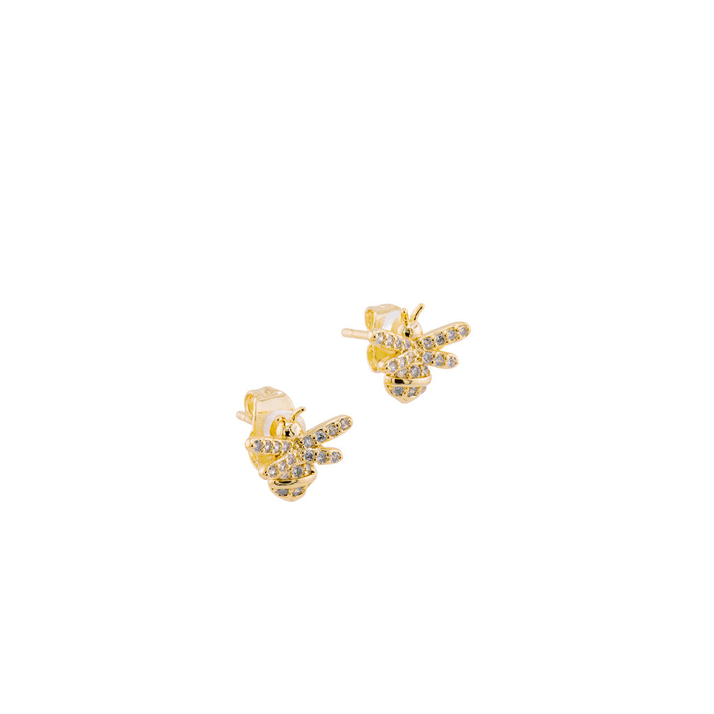 Aretes buzz
